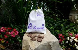 This Unique Product Keeps Your Pet’s Memory Alive This Unique Product Keeps Your Pet's Memory Alive