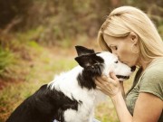 What Does Your Pet Say About Your Personality? What Does Your Pet Say About Your Personality