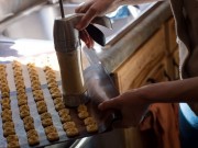 Would Your Dog Like Tanker Tots? Unique Dog Treats Business Will Your Dog Like Tanker Tots