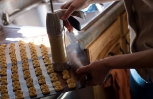 Would Your Dog Like Tanker Tots? Unique Dog Treats Business Will Your Dog Like Tanker Tots