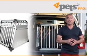 Looking For An Ultra-Secure Dog Crate?