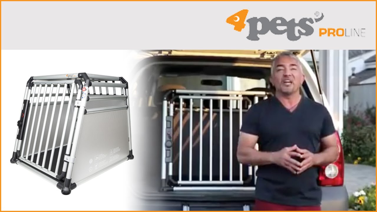 Thumbnail for Best Secure Dog Crate Locks