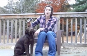 Review: Andis Premium Pet Deshedding Tool Review