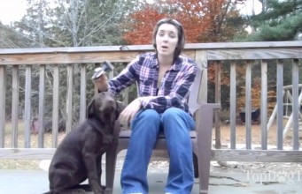 Review: Andis Premium Pet Deshedding Tool Review