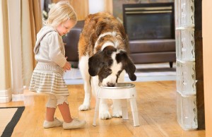 Take Your Dog’s Food to A Whole New Height