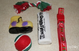 Review: Holiday Pet Stocking for Dogs Review: Holiday Pet Stocking for Dogs