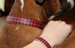 Review: Matching Friendship Collar For Dogs FriendshipCollar