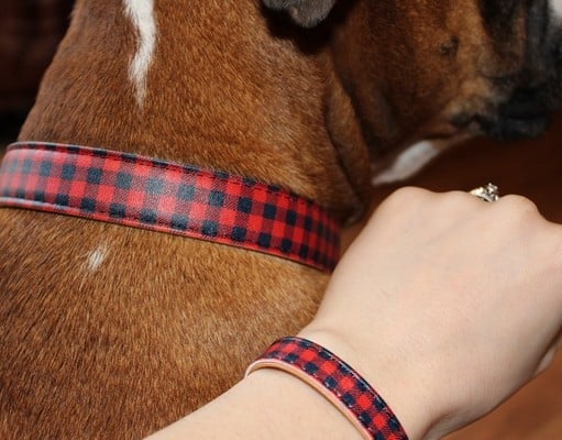 Review: Matching Friendship Collar For Dogs FriendshipCollar