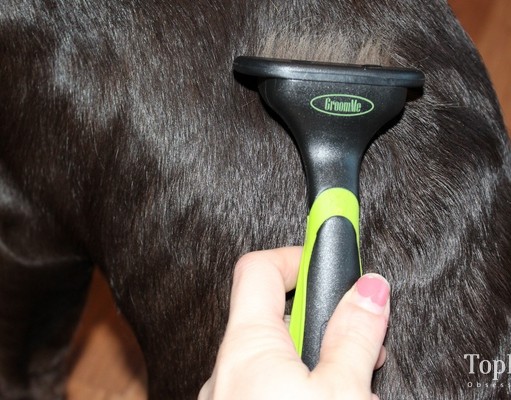 Review: GroomMe Dog DeShedding Tool From Pets Savvy GroomMe DeShedding Tool