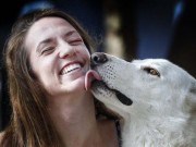 Homeward Bound: Dog Travels for 2 Days to Meet His Owner Homeward Bound - Dog Travels for 2 Days to Meet His Owner