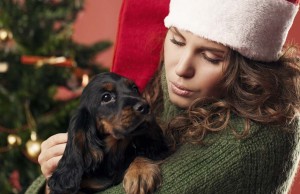 7 Ideas on How to Spend Christmas with Your Dog Ideas on How to Spend Christmas with Your Dog