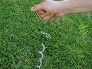 Is Your Dog Safe While He’s Out in the Yard? Is Your Dog Safe While He's Out in the Yard