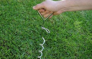 Is Your Dog Safe While He’s Out in the Yard? Is Your Dog Safe While He's Out in the Yard