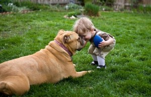 Loyal Dog Accompanies Toddler That Wandered Off Loyal Dog Accompanies Toddler That Wandered Off