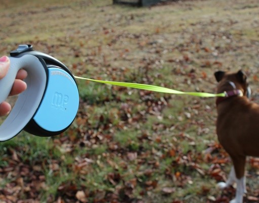 Review: MIU PET Retractable Dog Leash MIU Color Retractable Leash