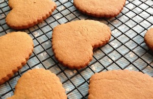 Sunday’s Recap: Making Your Own Dog Food and Treats Making Your Own Dog Food and Treats