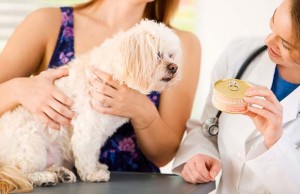 Top 5 Best Canned Dog Foods