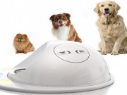 Video Gamers Can Let Their Dogs Play Too CleverPet
