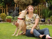 Do Dogs Understand Human Emotions? Do Dogs Understand Human Emotions