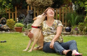 Do Dogs Understand Human Emotions? Do Dogs Understand Human Emotions