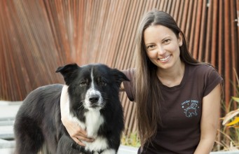 Interview: Expert Dog Training Tips for Train Your Dog Month Dog Training Tips for Train Your Dog Month