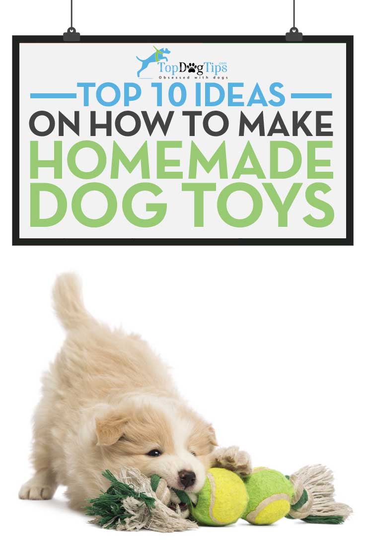 Top 10 Ideas for Homemade Dog Toys Top Dog Tips