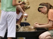 Looking For An Eco-Friendly Way to Groom Your Dog? Looking For An Eco-Friendly Way to Groom Your Dog