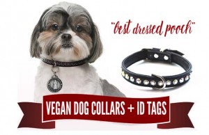 Giveaway: Luxepets Dog Leash, Collar and Charm ($60+ Value) Luxe Pets Dog Collar Charm Leash Free Giveaway