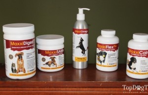Review: MaxxiDog Dog Supplements MaxxiDog Dog Supplements Review