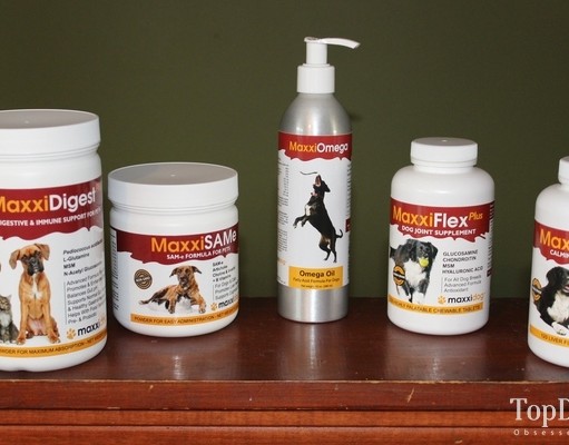 Review: MaxxiDog Dog Supplements MaxxiDog Dog Supplements Review