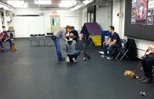 School District Spends $45,000 on Dog Training Facility School District Spends $45,000 on Dog Training Facility