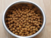 This Product Offers A Whole New Way to Feed Your Dog This Product Offers A Whole New Way to Feed Your Dog