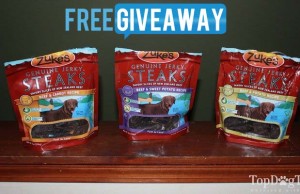 Giveaway: Zuke’s Genuine Jerky Steaks Dog Treats ($40+ Value) Giveaway Zukes Genuine Jerky Steaks Dog Treats for Dogs