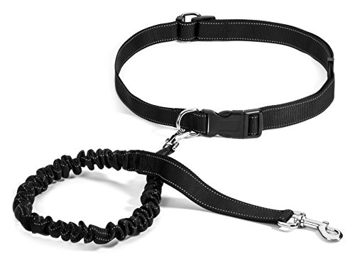 'Clay' - Hands Free Braided Leash main image 1