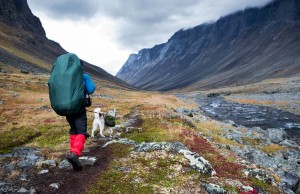 How to Go Backpacking with Dogs Backpacking with Dogs