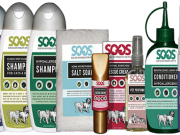 Dead Sea Healing Benefits Now Available for Dogs Dead Sea Healing Benefits Now Available for Dogs