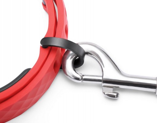 Interview: Does Your Dog Need a Smart Collar? Does Your Dog Need a Smart Collar