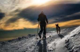Dog Hiking Gear Must-Haves: What You Need When Hiking with Dogs Dog Hiking Gear Must-Haves - What You Need When Hiking with Dogs