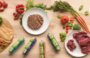 Review: Five Star Raw Dog Food Five Star Raw Dog Food Review