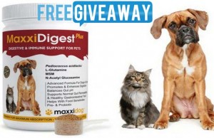 Giveaway: MaxxiDog Supplements for Dogs ($140 Value) MaxxiDog Dog Supplements Giveaway