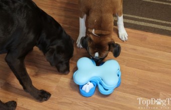 Review: Nina Ottosson Puzzle Toys for Dogs Nina Ottosson Puzzle Toys for Dogs Review
