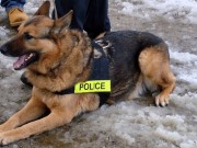 This Retired Cop Bought His K-9 Partner for $1 This Retired Cop Bought His K-9 Partner for a $1