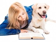 Top 5 Best Dog Grooming Book Choices