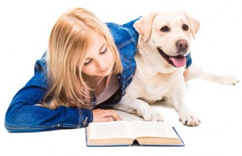 Top 5 Best Dog Grooming Book Choices