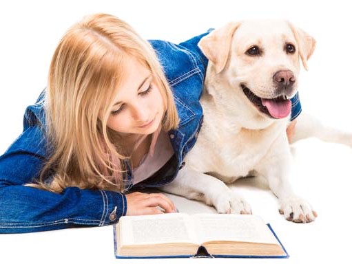 Top 5 Best Dog Grooming Book Choices