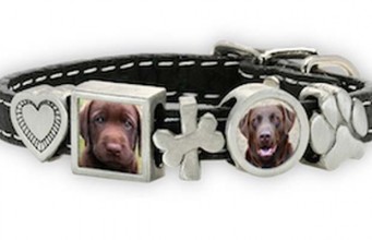 Review: Zelda’s Song Custom Pet Themed Photojewelry Zelda Song Custom Pet Themed Photojewelry Review