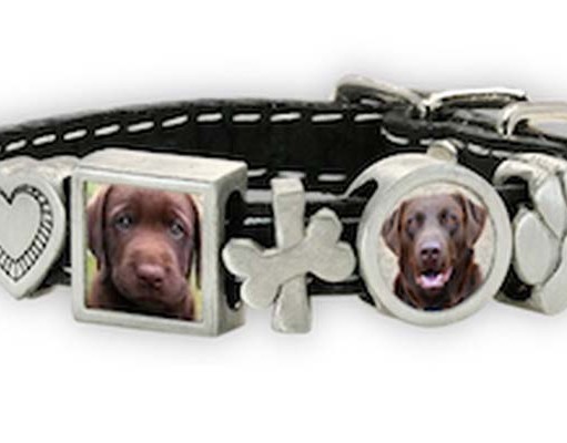 Review: Zelda’s Song Custom Pet Themed Photojewelry Zelda Song Custom Pet Themed Photojewelry Review