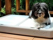 Review: ChillSpot Dog Cooling Unit Chillspot Dog Cooling Unit Review