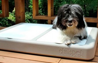 Review: ChillSpot Dog Cooling Unit Chillspot Dog Cooling Unit Review