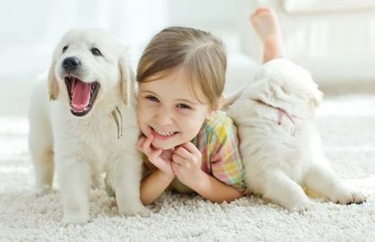 Book Review: Dogs – A Kid’s Book of DOG BREEDS Dogs and A Kid Book of DOG BREEDS